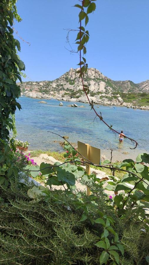 Вилла Casa Mughetto R5055 Seafront, Private Sea Access, Swimming Pool Ла-Маддалена Экстерьер фото